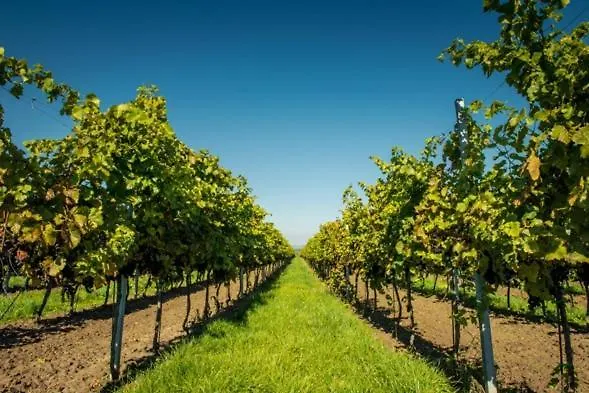 شقة Wonderfull Village With Terrace *